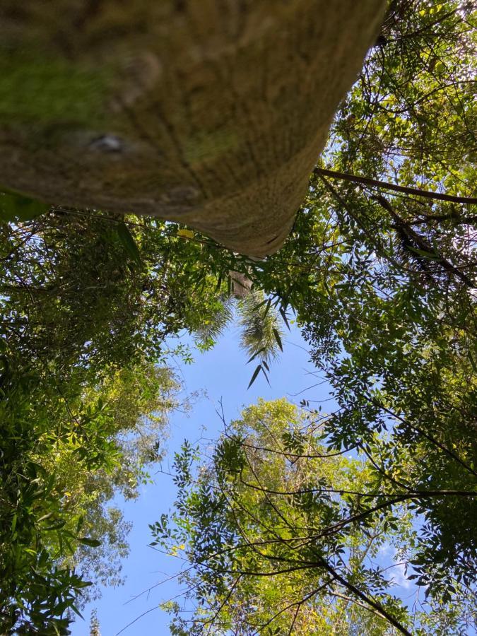 Sitio Metropole - Refugio Na Natureza Piraju Bagian luar foto
